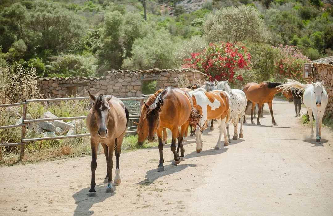 Ranch Campo Palombaggia-1